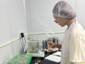 Professional Quality Inspection