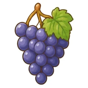 Grape candy flavor
