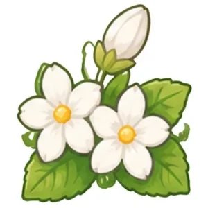 Jasmine candy flavor
