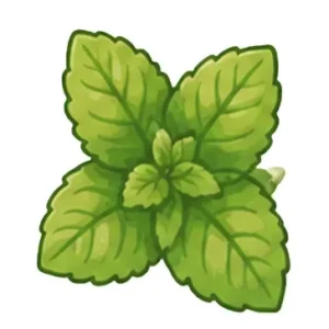 Mint candy flavor
